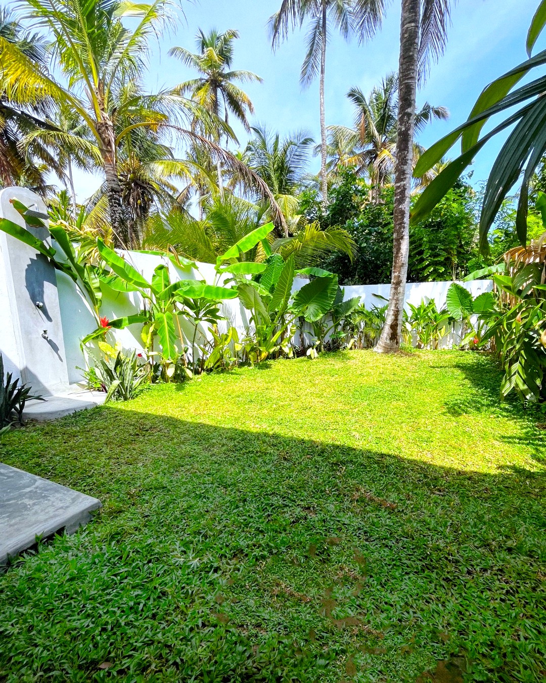 Domi Casa, private lawn of banana palms and white walls