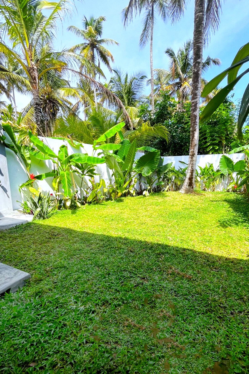 Casa private lawn garden · banana palms against white walls