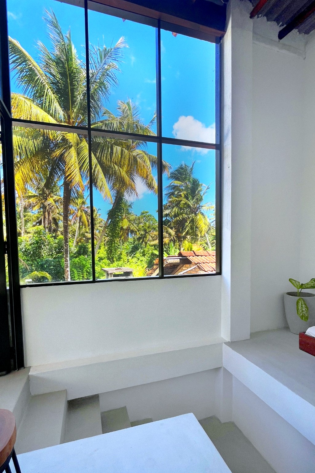 Casa loft · black grid window over the palms