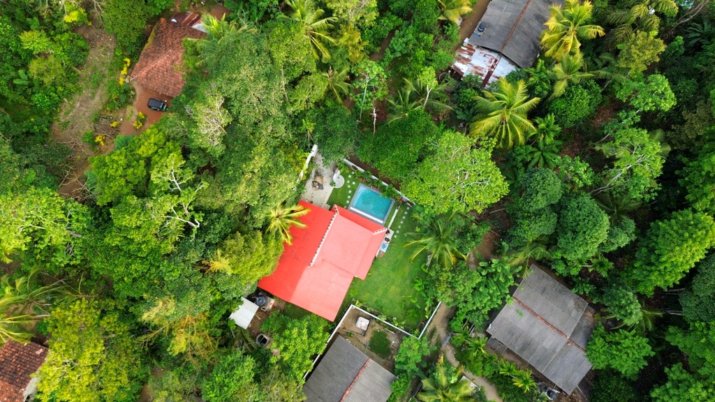 Safiya from the air · red roof and pool in the jungle canopy
