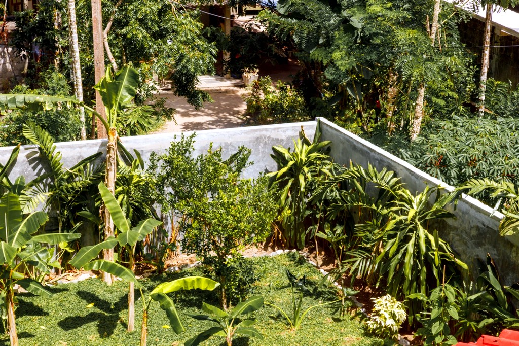Safiya garden from above · banana trees and the perimeter wall