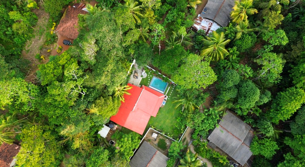 Domi Safiya from above, the house and pool wrapped in jungle