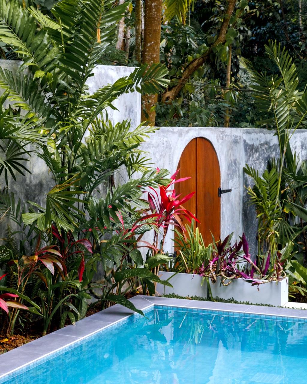Safiya pool corner and the arched garden gate in the wall