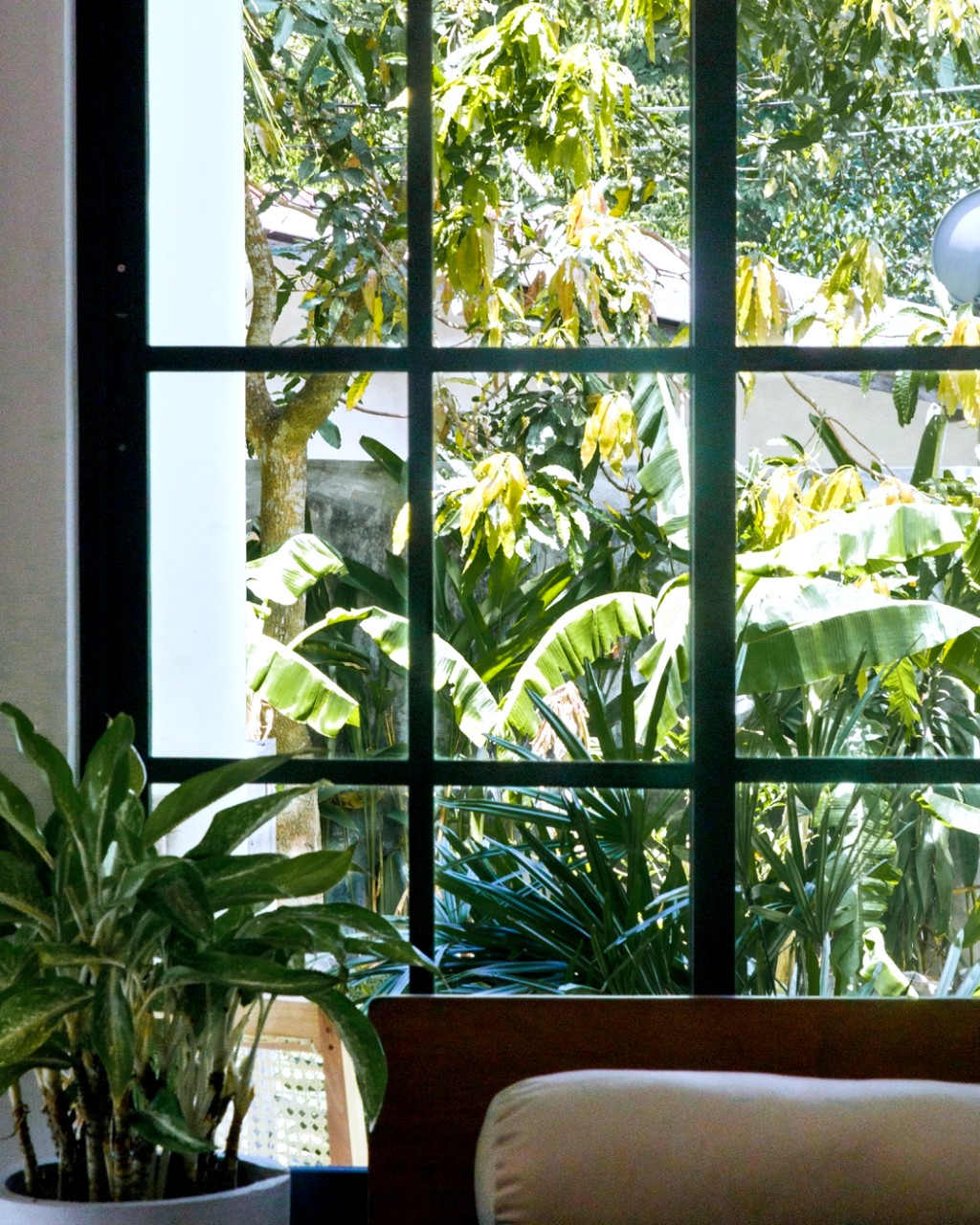 Safiya living room · looking out through the black grid window to the garden