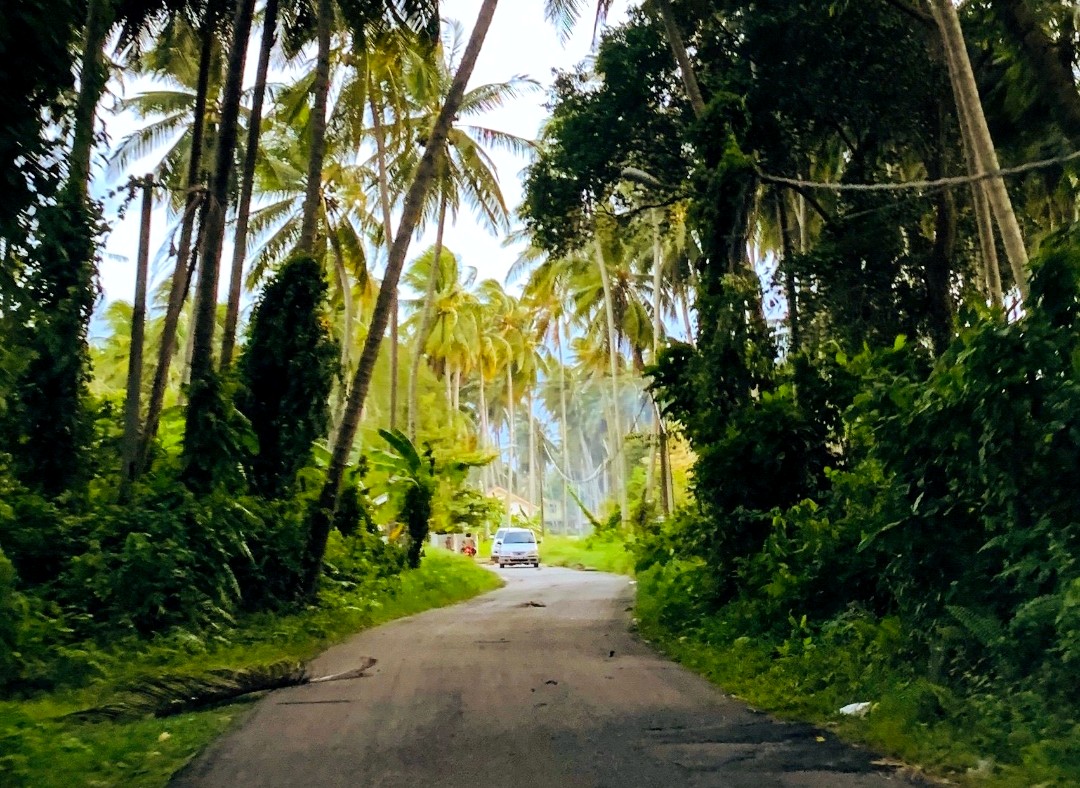 Airport pickup, the drive down to Ahangama.