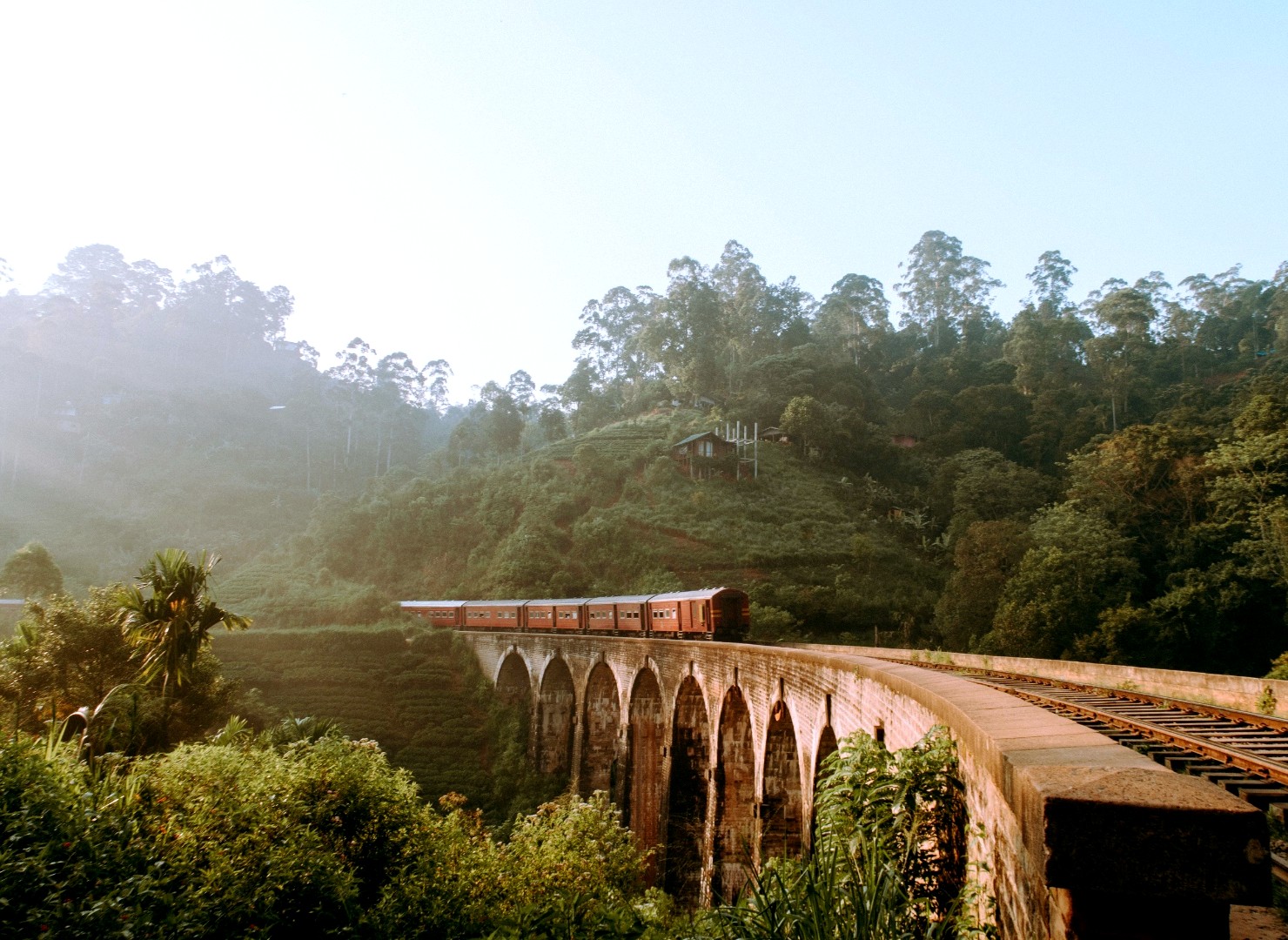 Tea country overnight.